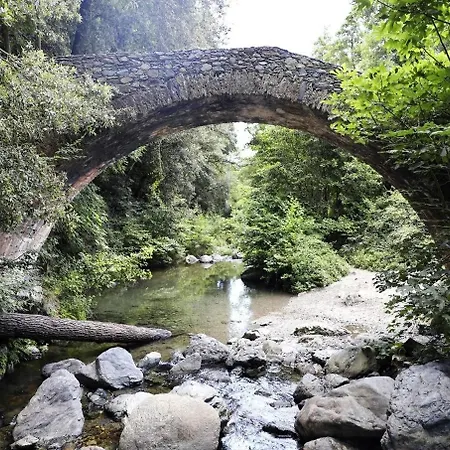 Corsica Sea Mountain And Pool