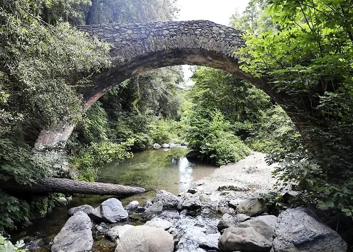 Corsica Sea Mountain And Pool